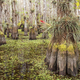 Image for article titled These Electrifying Photos Celebrate 50 Years Of USA's Wilderness Act